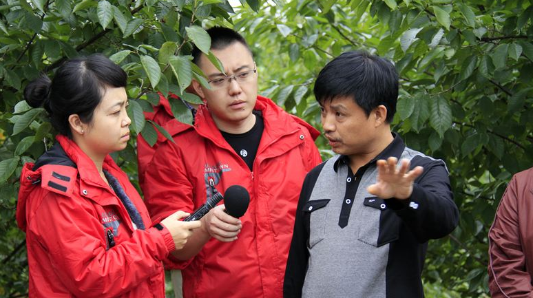 天津一商滨海二手车交易市场有限公司