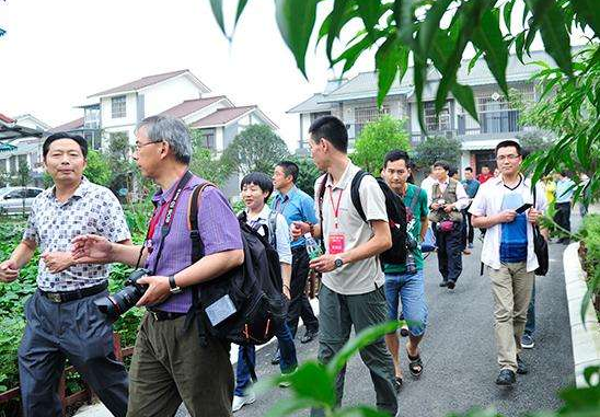 2020年天津会爆发蝗虫吗？